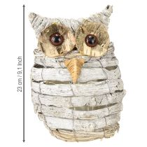 Artikel Eule Pflanzgefäß Weiß 23cm Holz-Metall Kombination
