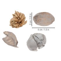 Artikel Potpourri Tischdekoration mit Schalenfrüchten in Grau, 18 x 18 x 5 cm, aus Naturmaterial