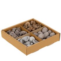 Artikel Potpourri Tischdekoration mit Schalenfrüchten in Grau, 18 x 18 x 5 cm, aus Naturmaterial
