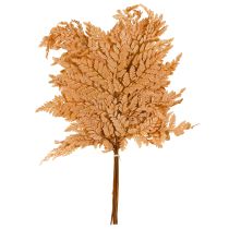 Artikel Konservierter Farn Orange 45cm 10 Stück für Dekoration und DIY