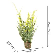 Artikel Künstlicher Farn mit Erdballen 57cm grün für Wohn- und Bürodekoration