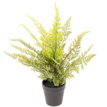 Artikel Künstlicher Farn 40 cm im schwarzen Topf für Innenräume