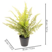 Artikel Künstlicher Farn 40 cm im schwarzen Topf für Innenräume