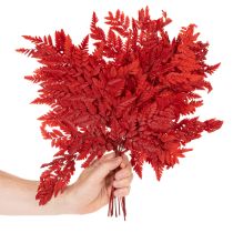 Artikel Farnzweige konserviert gefärbt rot 42cm 10 Stück für Herbstdeko