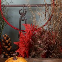 Artikel Farnzweige konserviert gefärbt rot 42cm 10 Stück für Herbstdeko