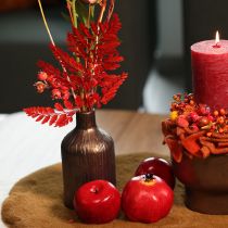 Artikel Farnzweige konserviert gefärbt rot 42cm 10 Stück für Herbstdeko