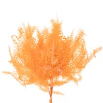 Artikel Konservierter Farnzweig 60 cm orange, Trockenblumen-Dekoration, 10 Stück