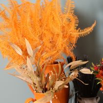Artikel Konservierter Farnzweig 60 cm orange, Trockenblumen-Dekoration, 10 Stück