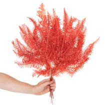 Artikel Konservierter Farn Rot 60 cm 10 Stück für Trockenblumen-Deko