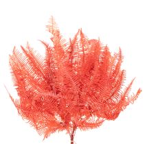 Artikel Konservierter Farn Rot 60 cm 10 Stück für Trockenblumen-Deko
