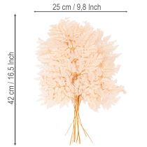 Artikel Trockendeko Farn Naturmaterial Rosa 42cm 10 Stück für Innenbereich