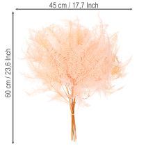 Artikel Getrocknete Farnwedel 60 cm Hellrosa 10 Stück für Dekoration