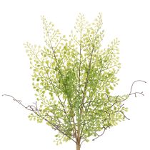 Artikel Künstlicher Ruscus Zweig grün aus Kunststoff 41cm für Wohnraumdeko