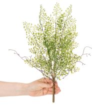 Artikel Künstlicher Ruscus Zweig grün aus Kunststoff 41cm für Wohnraumdeko