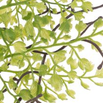 Artikel Künstlicher Ruscus Zweig grün aus Kunststoff 41cm für Wohnraumdeko