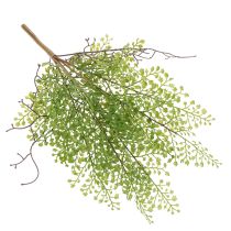 Artikel Künstlicher Ruscus Zweig grün aus Kunststoff 41cm für Wohnraumdeko
