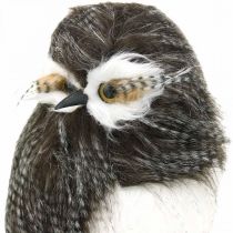 Waldeule, Winterdeko, Deko-Kauz, Herbst H41cm