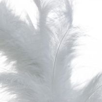 Federkranz Weiß Ø20cm Dekokranz Frühling Echte Federn 3St