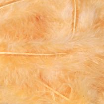 Artikel Vogelfedern Orange 5-10 cm 20 g für Bastel- und Dekoprojekte