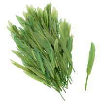 Artikel Dekorative Federn für stilvolles Ambiente und beeindruckende Dekorationen 10cm