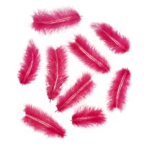 Artikel Federn kurz 30g Fuchsia