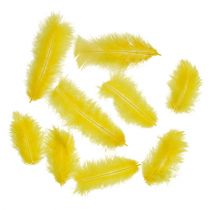 Federn kurz 30g Goldgelb
