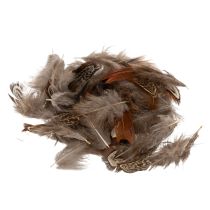 Artikel Federn für vielseitige Bastelideen zur kreativen Gestaltung und Dekorationsideen 5cm 3g