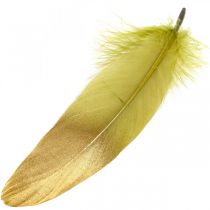 Federn zum Basteln Deko Federn Grün-Golden L16–20cm 24St