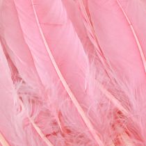 Artikel Rosa Gänsefedern für Bastelarbeiten 18–20 cm 20 g Doppelpack