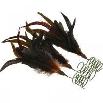 Artikel Bunte Federn Deko auf Drahtfeder Frühlingsdeko H35cm 3St