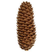 Artikel Fichtenzapfen Natur 5kg Tannenzapfen