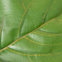 Artikel Künstlicher Ficus lyrata 120 cm Grün aus Textil und Kunststoff für Wohnraumdekoration