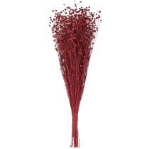 Artikel Flachs Bordeaux Rot Trockendeko Trockenblumen L55cm 80g