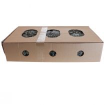 Artikel Flechten Flechtenmoos Baummoos Deko Moos Natur 1kg