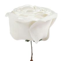 Foam-Rose Weiß mit Perlmutt Ø10cm 6St
