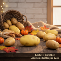 Artikel Künstliche Kartoffel Lebensmittelattrappe 12cm Kunststoff Hellbraun
