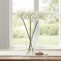Artikel Künstliche Guernseylilie Weiß Gelb 65cm Ø15cm Dekoblume