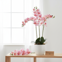 Artikel Künstliche Orchidee Phalaenopsis Rosa-Weiß mit 9 Blüten, 96 cm, aus Kunststoff