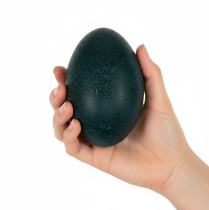 Artikel Emu-Ei Dekoration, Naturmaterial, Ø 9 cm, H 13 cm, Dunkelgrün, Innen- und Außendekoration