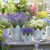 Artikel Übertopf Krone Metall Deko Zink Ø21,5/19,5/17cm 3er-Set