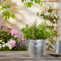 Artikel Deko Eimer Metall Blumentopf mit Seilgriffen Ø20cm Silber