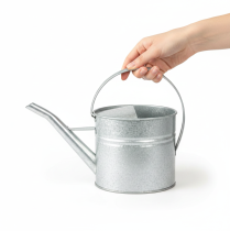 Artikel Metall-Gießkanne Vintage Silber 1,25 l als Pflanzgefäß