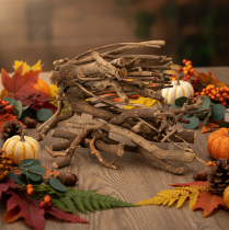 Artikel Deko Holzäste naturgetrocknet 18 cm 500 g für floristische Gestaltung
