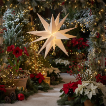 Artikel LED Weihnachtsstern aus Kunststoff Warmweiß mit Timer 60 cm für Innen- und geschützten Außenbereich