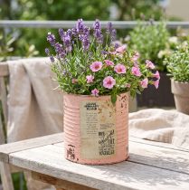 Artikel Blumentopf aus Metall Ø11cm H10,5cm in Lachs mit Vintage-Druck