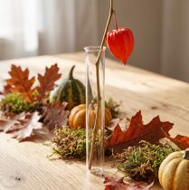 Artikel Reagenzglas aus Glas 200 mm × 27 mm farblos