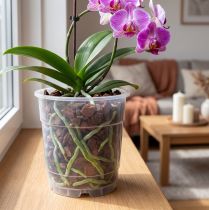 Artikel Pflanztopf Transparent Ø15cm aus Kunststoff für Orchideen 10 Stück