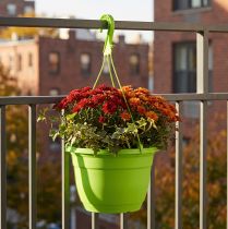 Artikel Blumenampel Kunststoff Ø25cm Grün mit Haken