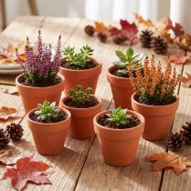 Artikel Blumentopf aus Ton Ø5 cm, Höhe 4 cm, Terrakotta, 10 Stück