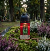 Artikel Grabkerze Rot 20 cm ICP-Siegel Kompostierbare Friedhofskerze